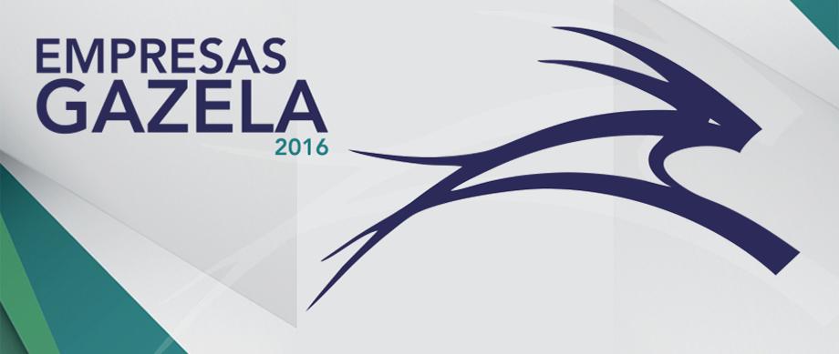 Imagem de Banner empresasgazela 2016