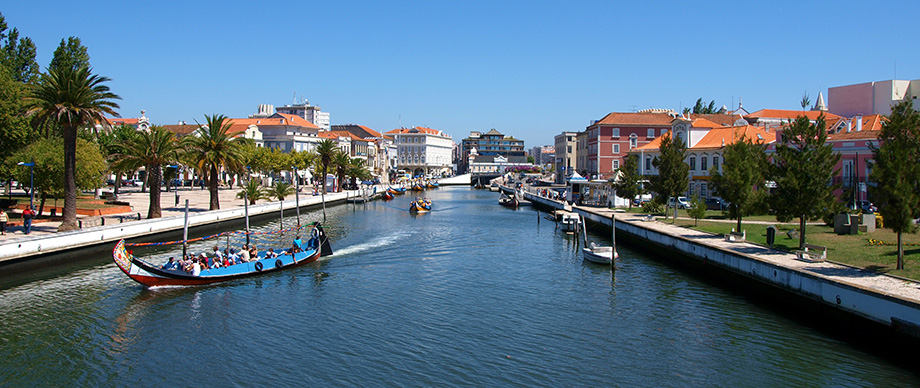 Imagem de aveiro