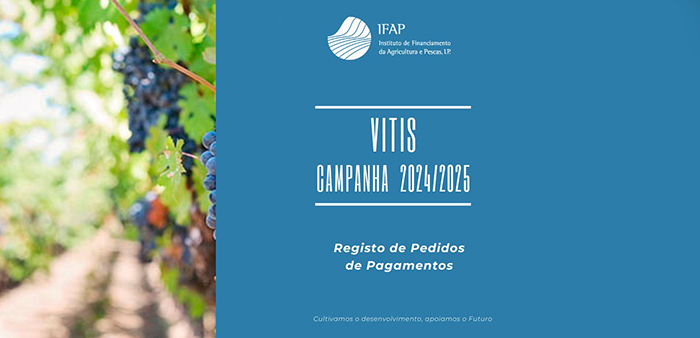Imagem de VITIS ba