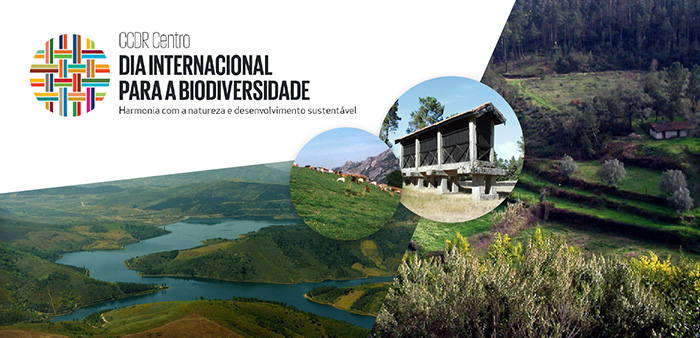 Imagem de Biodiversity-