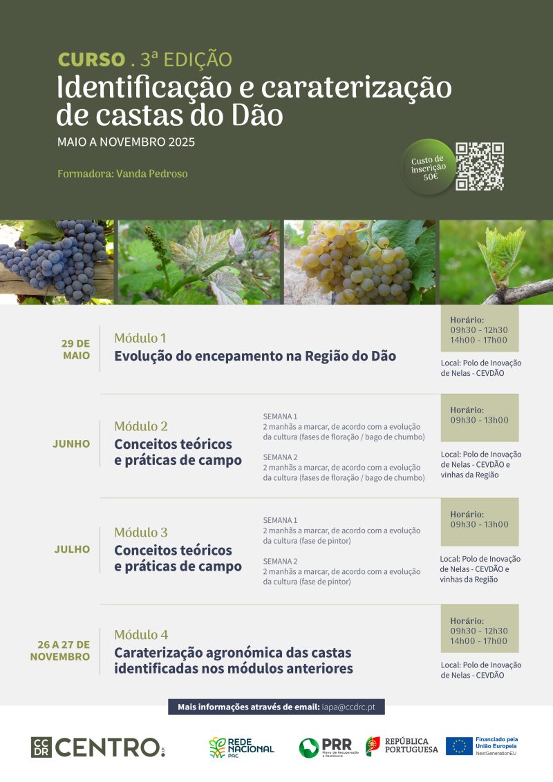 Imagem de Cartaz-V7-800x1132