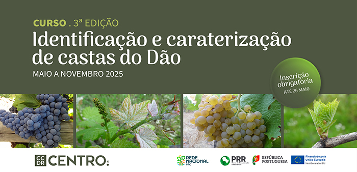 Imagem de NoticiaSite-CCDRC 700x3