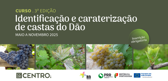 Imagem de NoticiaSite-CCDRC 700