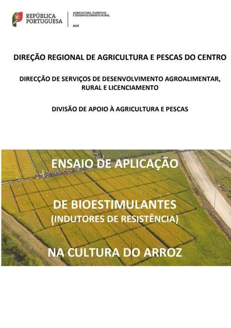 Imagem de ensaioaplica bi