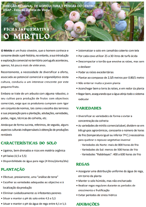 Imagem de Fichainfoirmatmirtilo
