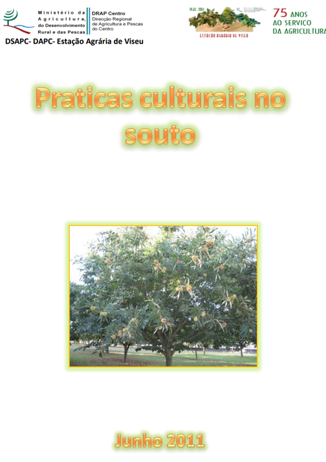 Imagem de Praticassouto