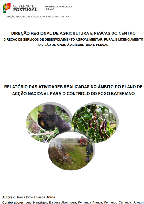 Imagem de Relatorioplanoacao