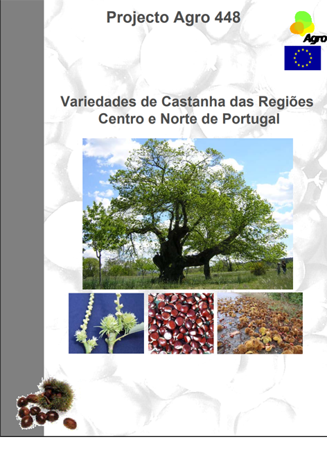 Imagem de variedades-de-castanha-centro-e-n
