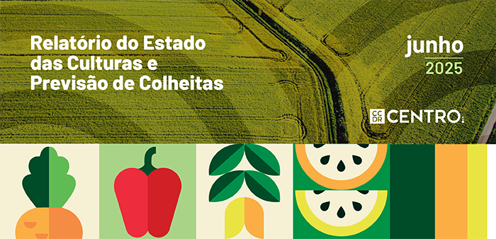 Imagem de Noticias Site CCDRC-700-x-338p