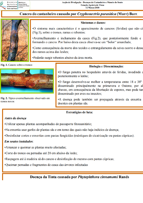 Imagem de cancro-castanh