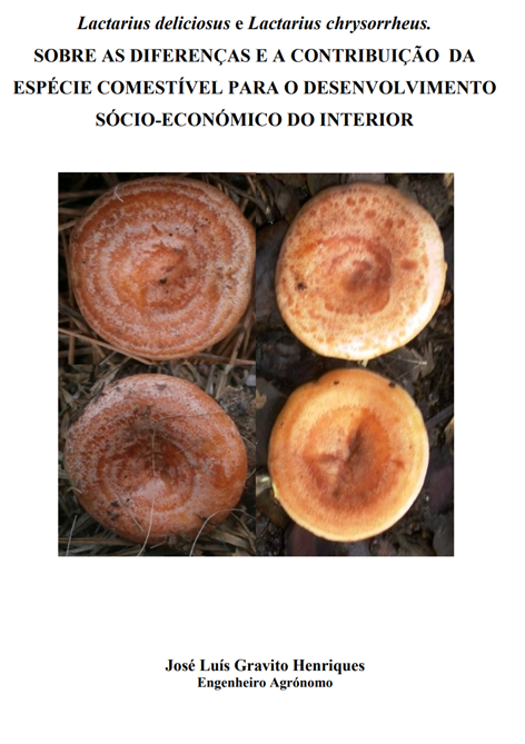 Imagem de ldelic