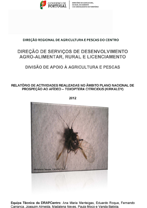 Imagem de relat