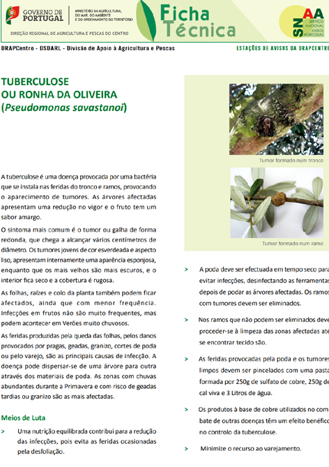 Imagem de tuberculoseOliiv