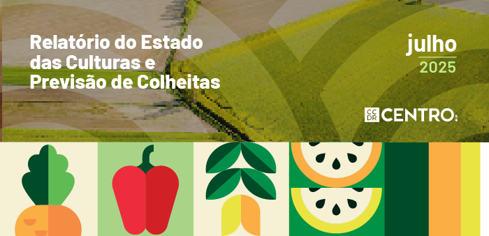 Imagem de Noticias Site CCDRC-700-x-338px-