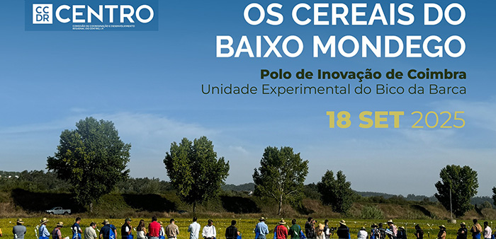 Imagem de banner dia-dos-cer