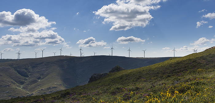 Imagem de consulta clima