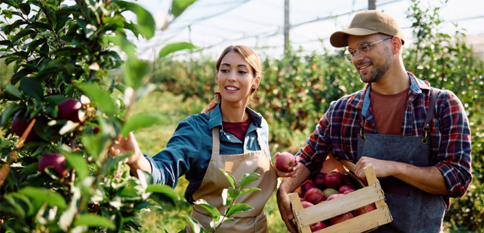 Imagem de Pac-e176354306