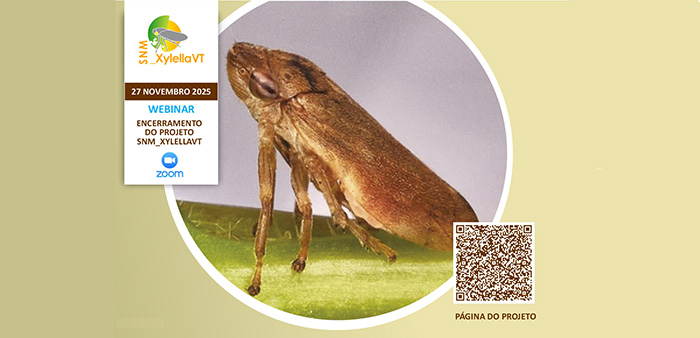 Imagem de bannet Evento-final-Xyl