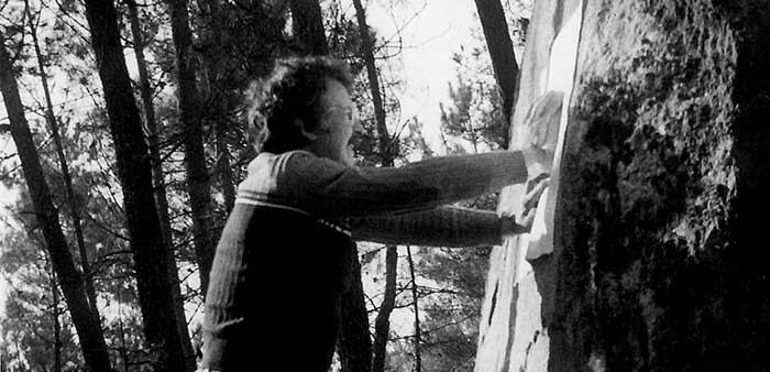 Imagem de site David-de-Alm