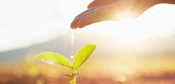 Imagem de Agricultura-escasez-agua-1080x6