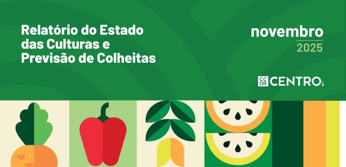 Imagem de Noticias Site CCDRC-700-x-338px-01-scal