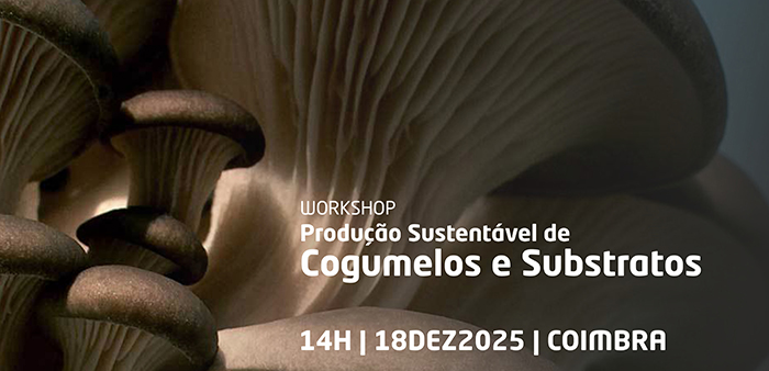 Imagem de banner-cogum