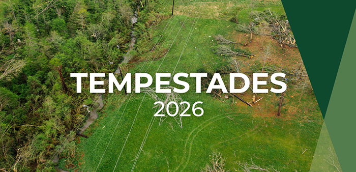 Imagem de botoestempest