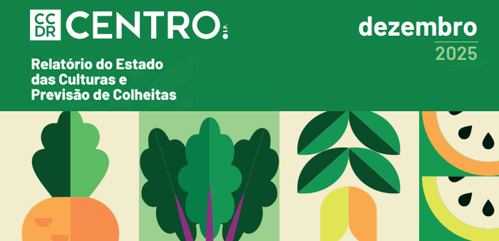 Imagem de noticia-cult