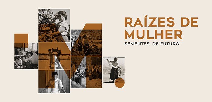 Imagem de thumbnail banner noticia mulherR