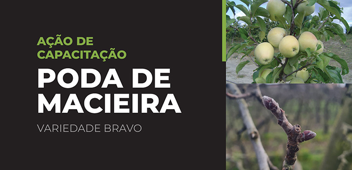 Imagem de Banner noticia-sitec