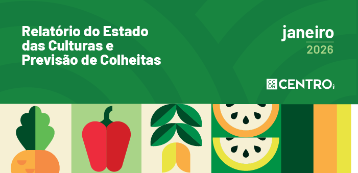 Imagem de Noticia 700