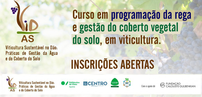 Imagem de esteProgramacao-da-