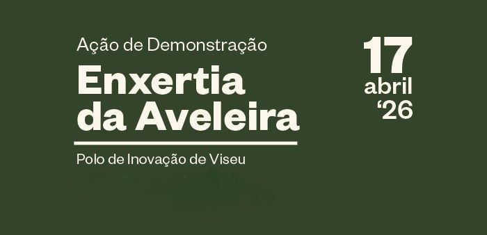 Imagem de NOTICIAAVE