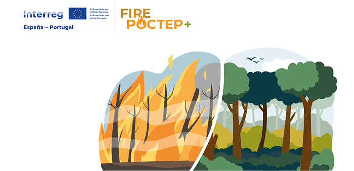 Imagem de firepoctepversapf