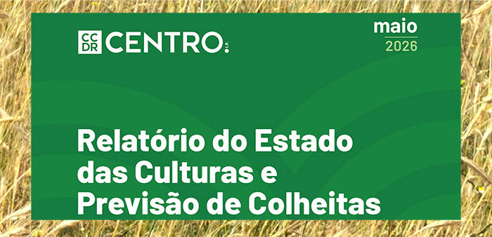 Imagem de Relatorio-Estado-Culturas-