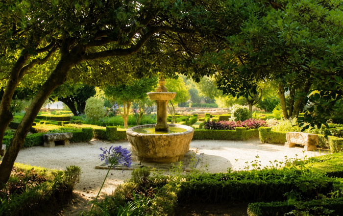 Imagem de jardim-fontelo-viseu site-e178534610