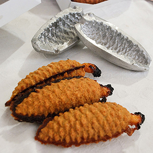 Imagem de PinhasdeMontemor 300