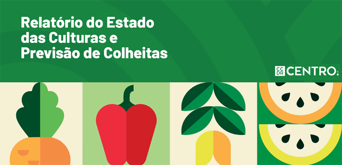 Imagem de estaNoticias Site CCDRC-700-x-338p